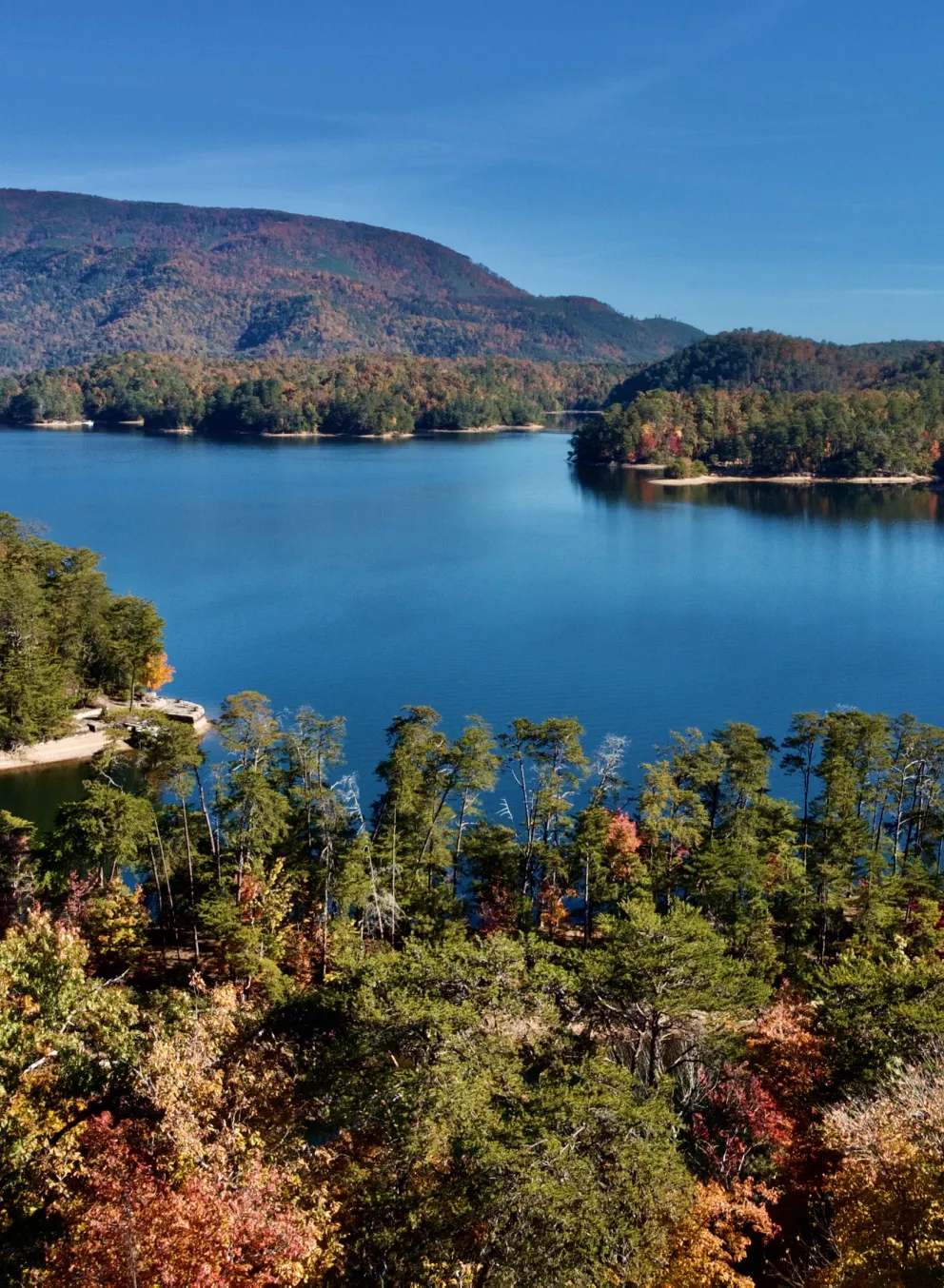 View of the lake in the fall